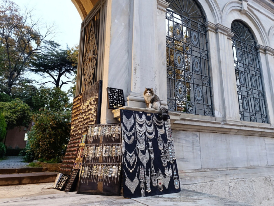 Гуляем по Стамбулу и знакомимся с котами 36.jpg