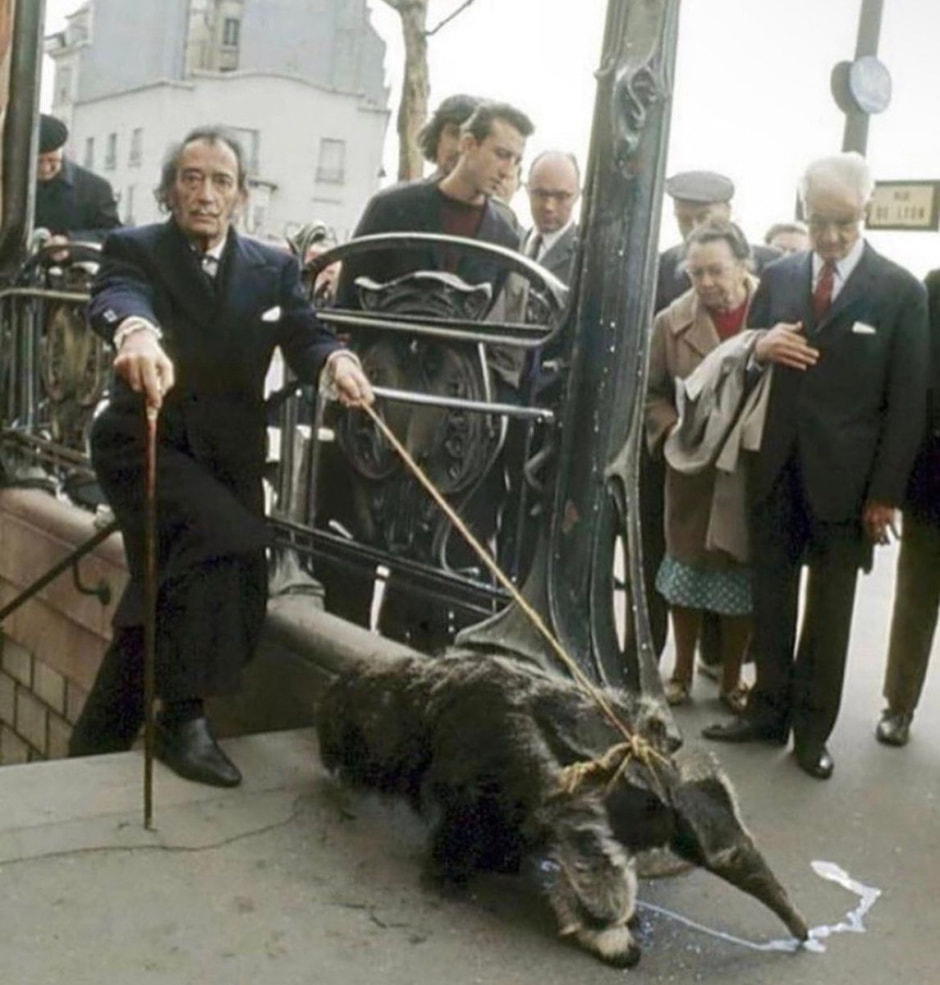 Дали с муравьедом на поводке.jpg