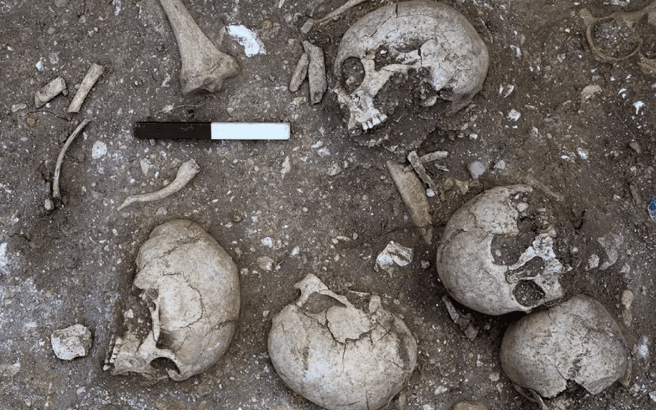 Пять из голов, обнаруженных в яме