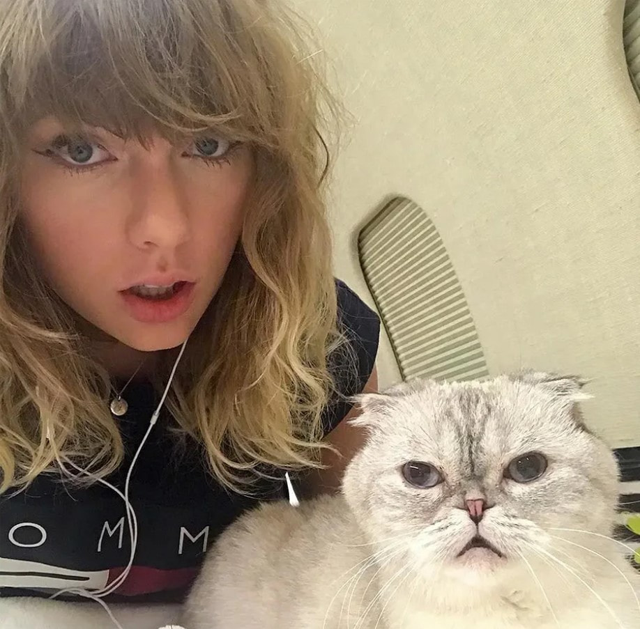 Тейлор Свифт и кошка.jpg