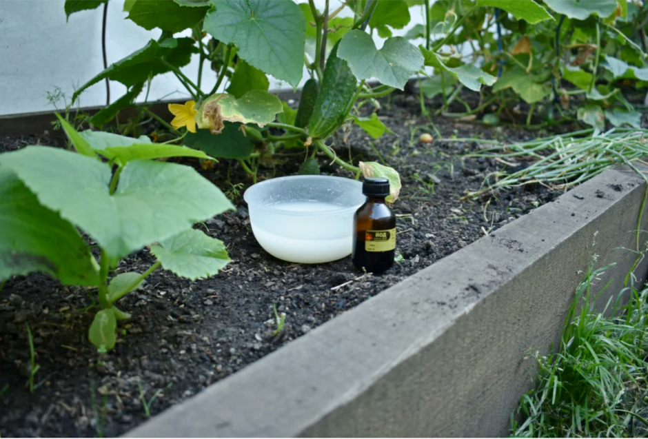 Йод для почвы.png