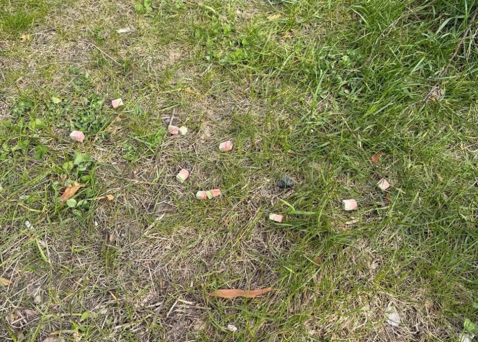 живодер приманки.jpg