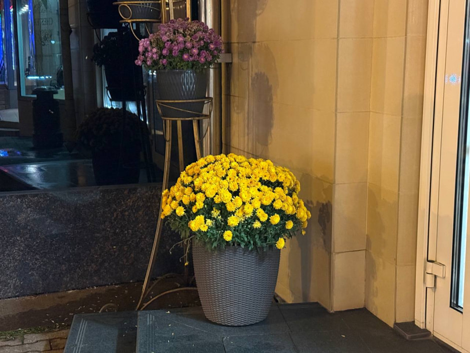 Айфон - вечер 5.jpg