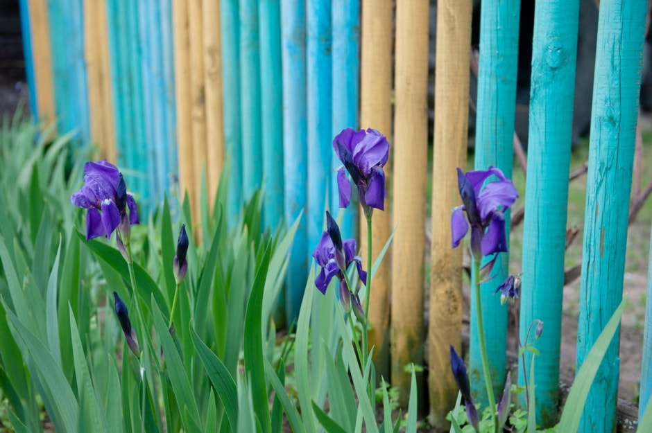 Дом-вышиванка Марии Сочилович из Грабово 9.jpg