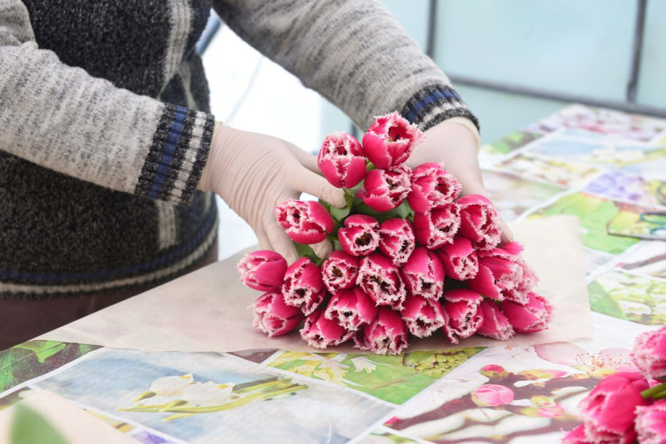 Как на Полесье выращивают тюльпаны 6.jpg