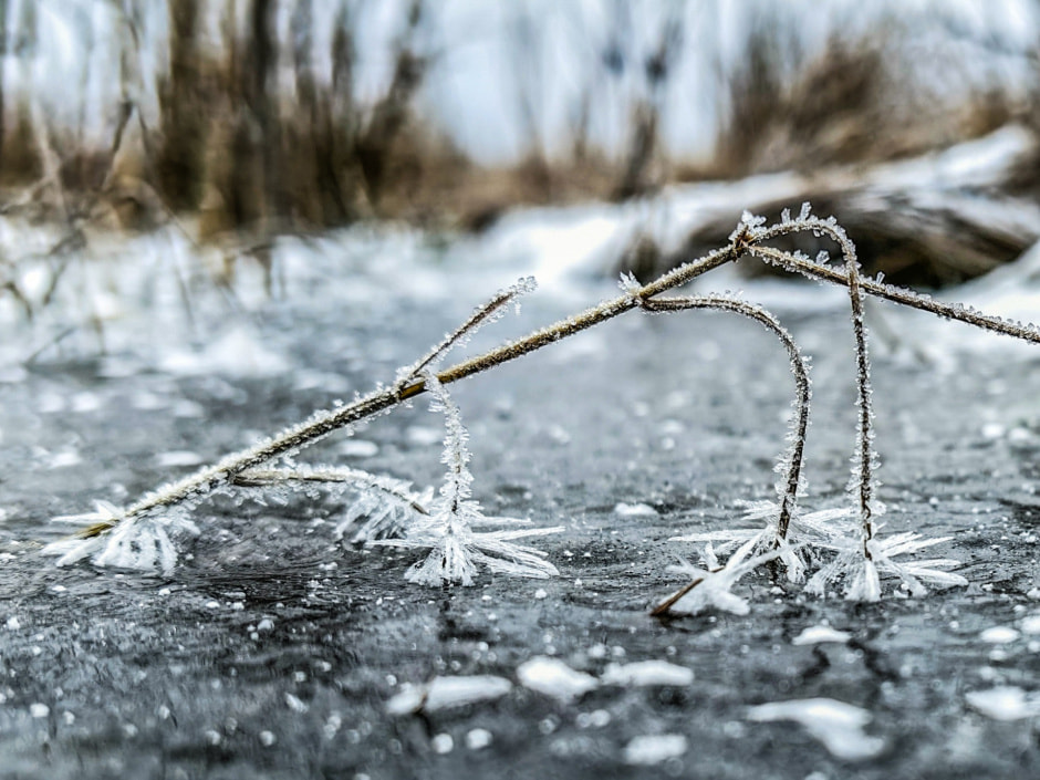 февраль зима шкурко 1.jpg