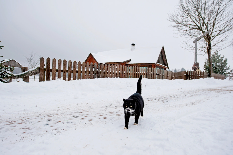 Туристическая деревня Белые луга 19-1.jpg