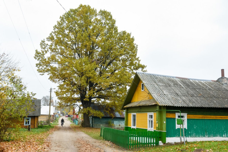 Как минчане переехали в деревню Вигушки 2.jpg