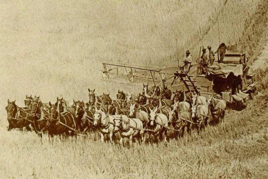 Андрей Власенко и комбайн 6.jpg