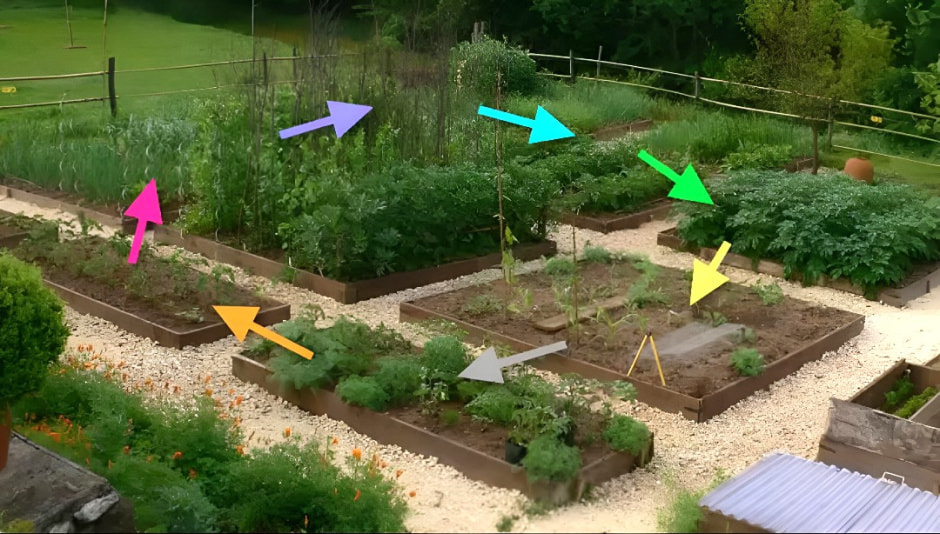 photo_2025-09-11_12-55-40 (5).jpg