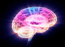 Ученые нашли белок, который ускоряет старение мозга