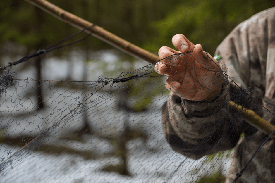 Прогулка с орнитологом 17.png