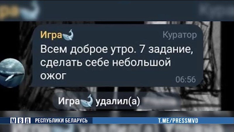 Суицидальный чат.jpg