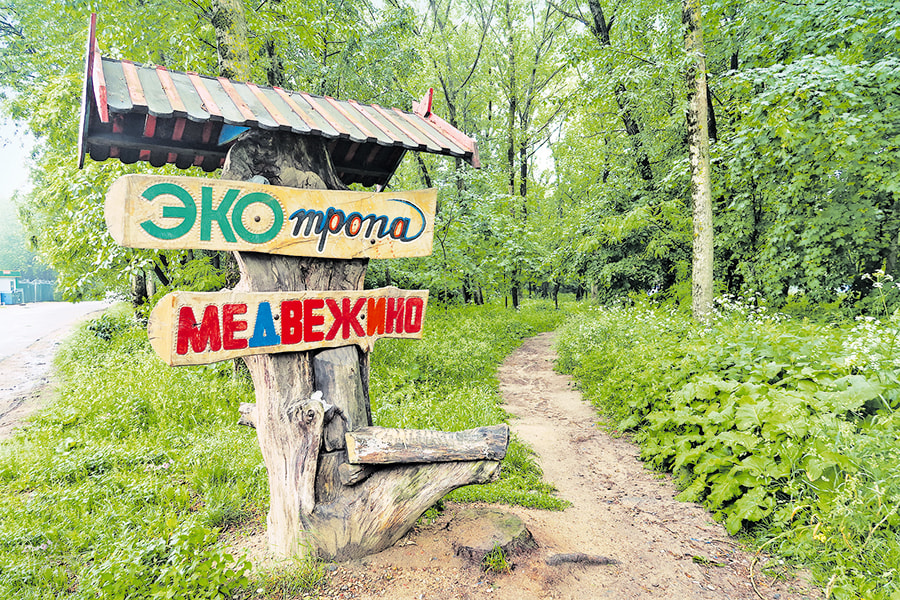 экотропа Медвежино.jpg