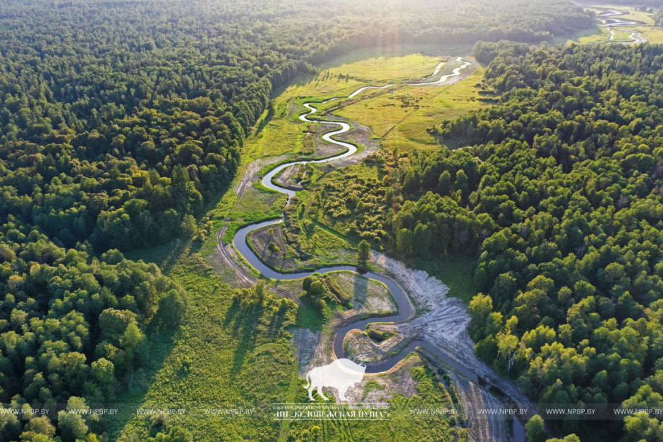 Наревка река