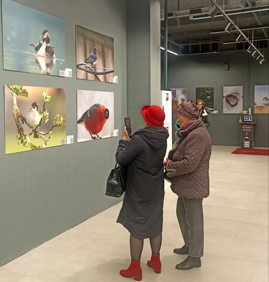 Выставка Дикая природа 2.jpg