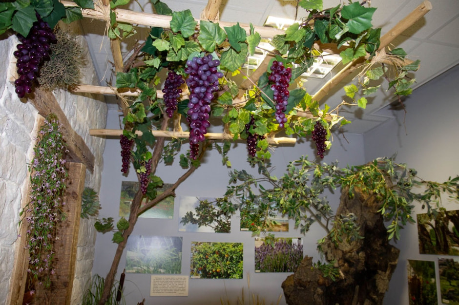 Музей Бібліі ў Баранавічах 20.jpg