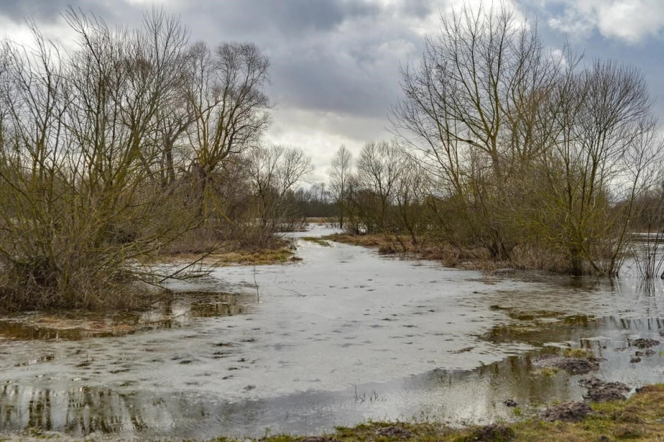 Смартпресс командировки 1.jpg