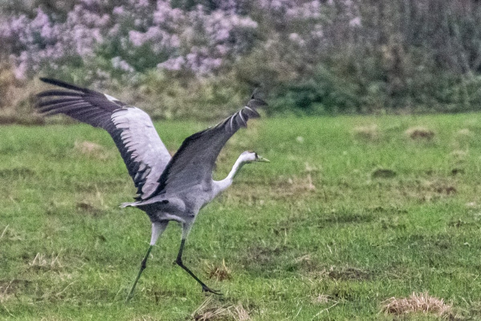 Поход на Ельню 15.jpg