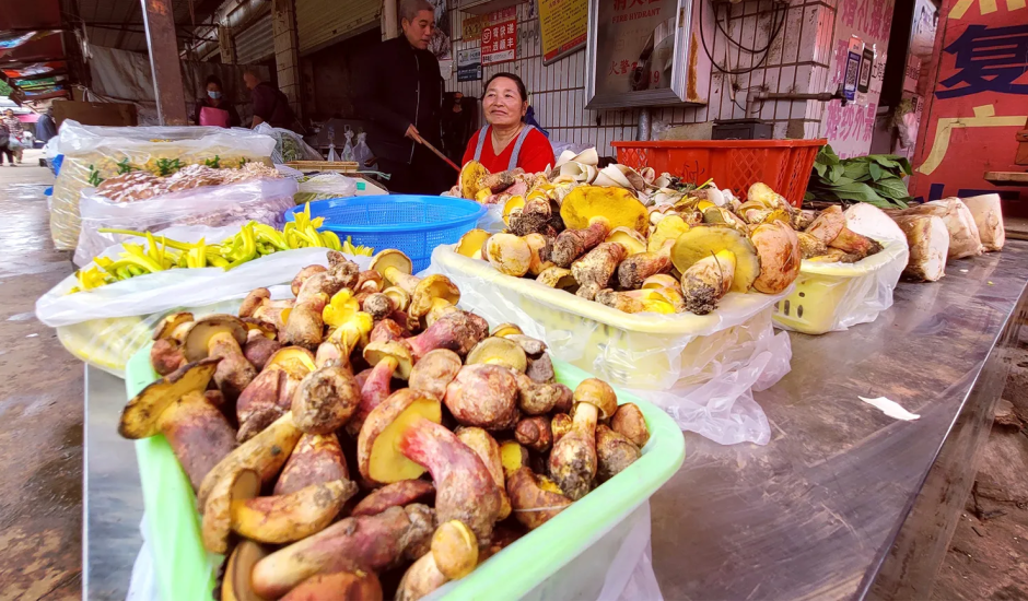 Грибы Lanmaoa asiatica продаются на рынках в разгар сезона сбора грибов, с июня по август