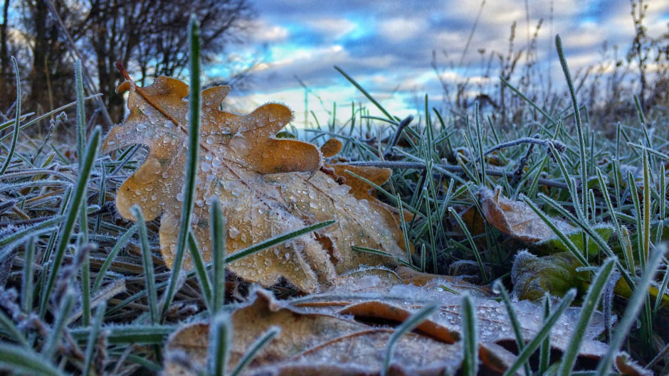 заморозки первые заморозки первые