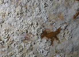 “Ладонь с когтями”: в индонезийской пещере нашли самое древнее наскальное искусство на Земле