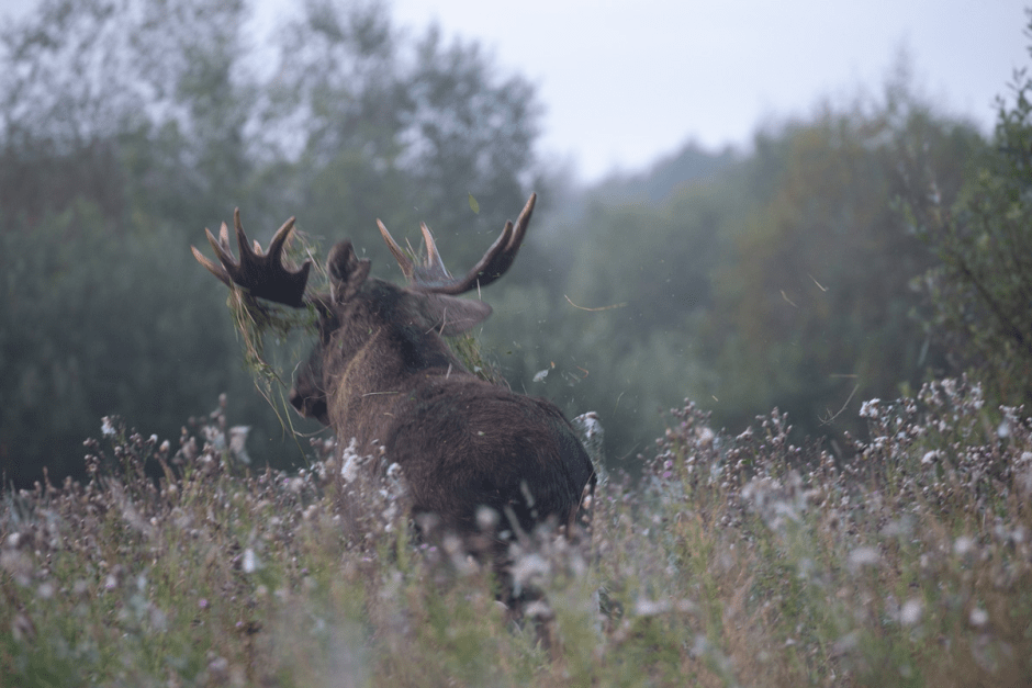 Сергей Плыткевич и его фото 9.png