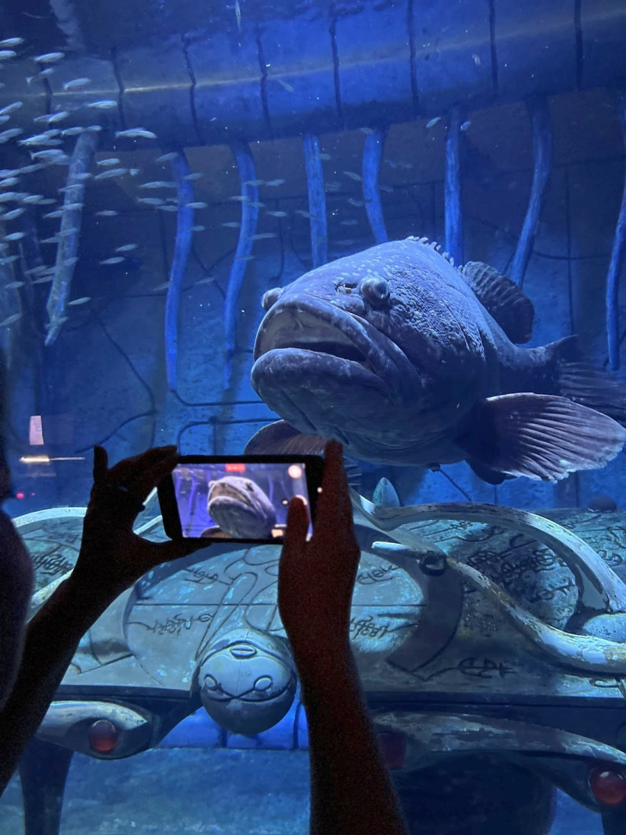 Куда пойти в Дубае с детьми 11.jpg