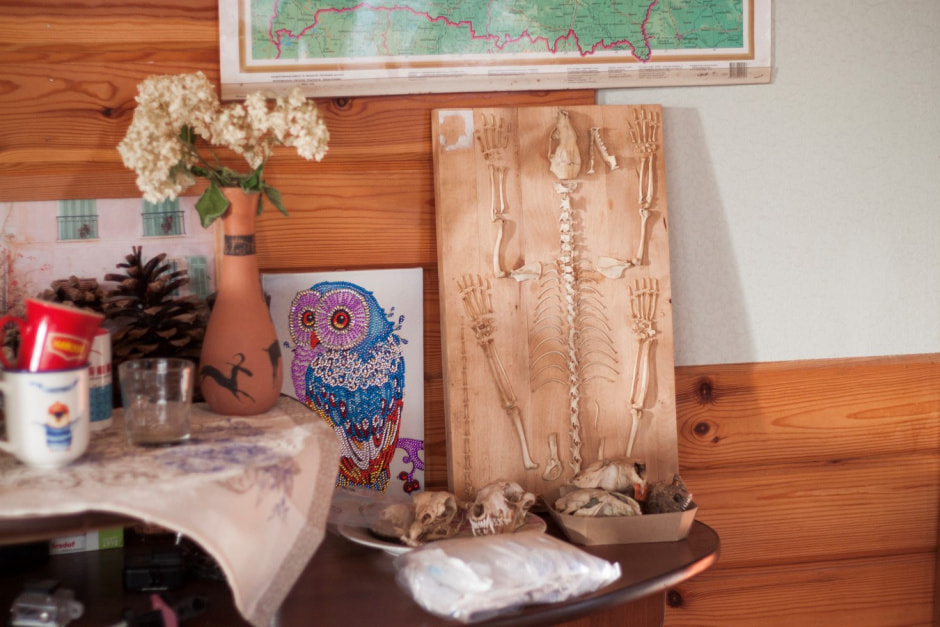 Агроусадьба Сосновый Бор 5.jpg