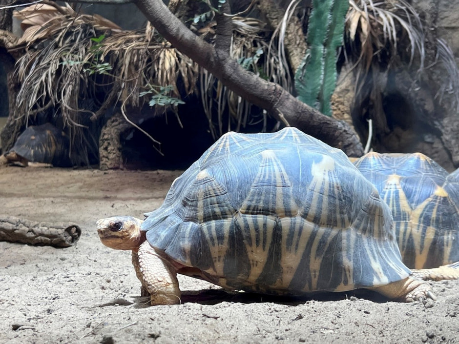 Берлинский зоопарк 18.jpg