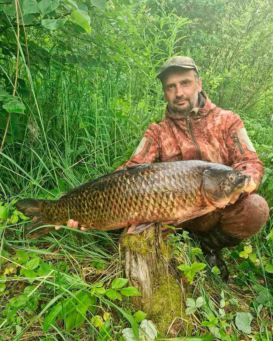 сазан огромный.jpg