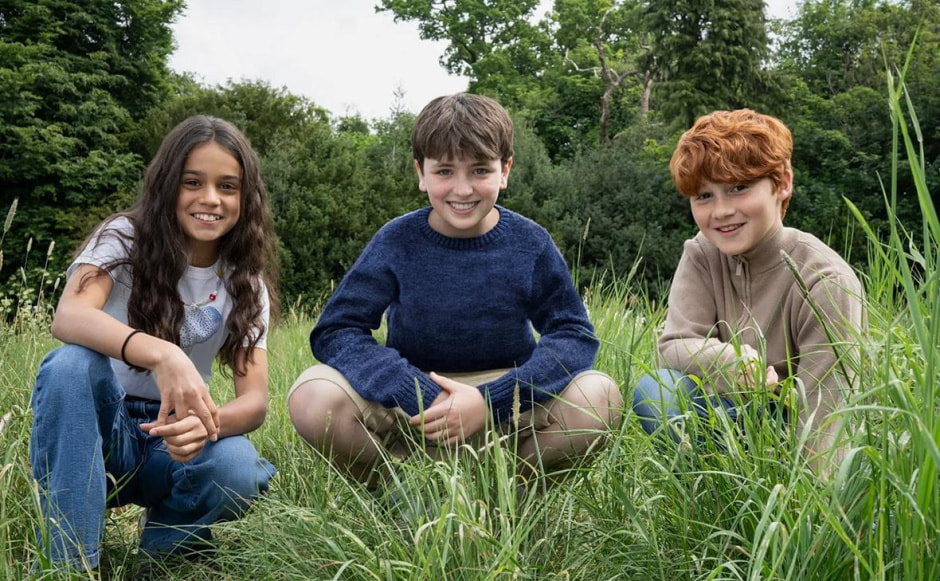 Гарри, Гермиона и Рон