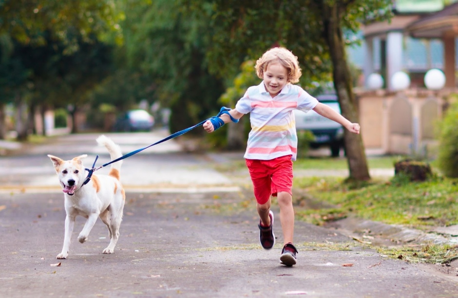 9-Ребенок гуляет с собакой.png