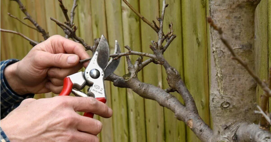 обрезка обрезка