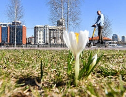 Антициклон Яннис устроит неделю мая в Беларуси. Белгидромет назвал дату, когда температура перевалит за +15°С