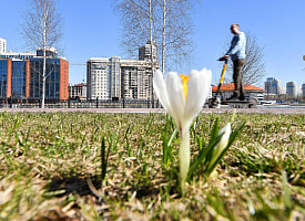 Антициклон Яннис устроит неделю мая в Беларуси. Белгидромет назвал дату, когда температура перевалит за +15°С