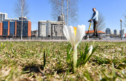 Антициклон Яннис устроит неделю мая в Беларуси. Белгидромет назвал дату, когда температура перевалит за +15°С