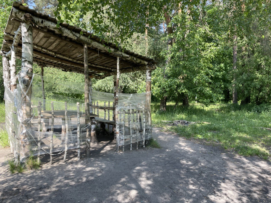 степянка шашлыки.jpg