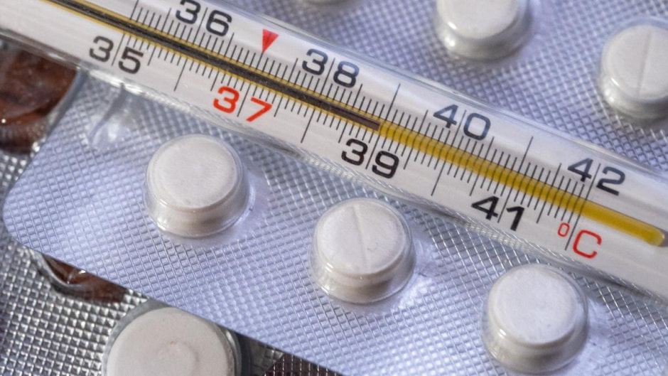 грипп гарусник болезни.jpeg