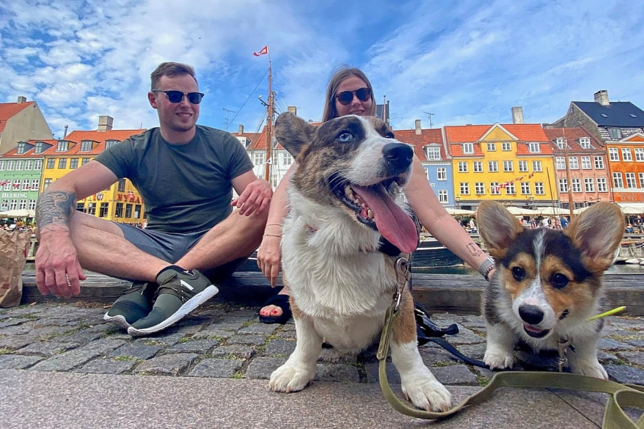 Путешествие с собакой_обл.jpg