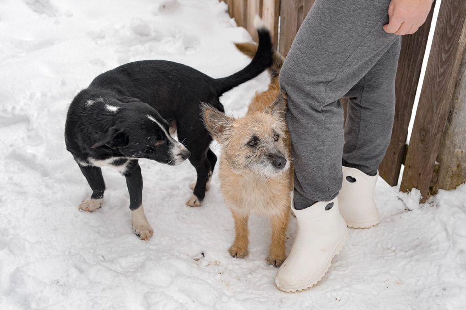 Автолавка в Глусском районе 9.jpg Автолавка в Глусском районе 9.jpg
