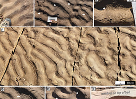 Ученые нашли следы жизни там, где ее не должно быть – на глубине темного древнего океана