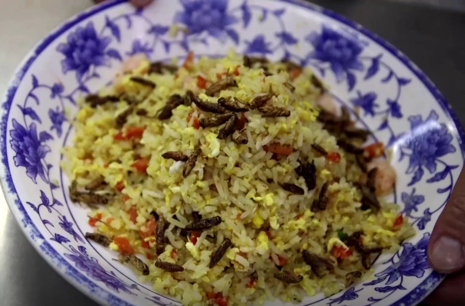 насекомые для еды Сингапур3.jpg