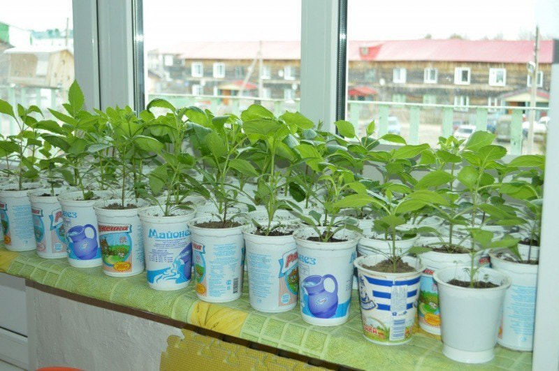 photo_2025-02-03_20-51-39 (7).jpg