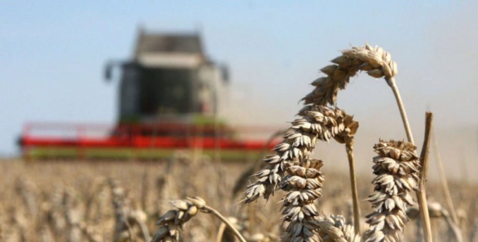 Новшества августа 2024 13.png