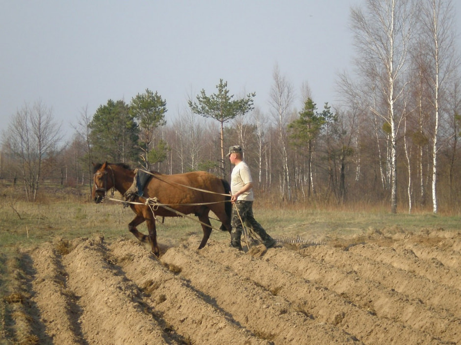 Директор музея в Ветке Петр Цалко 9.jpg