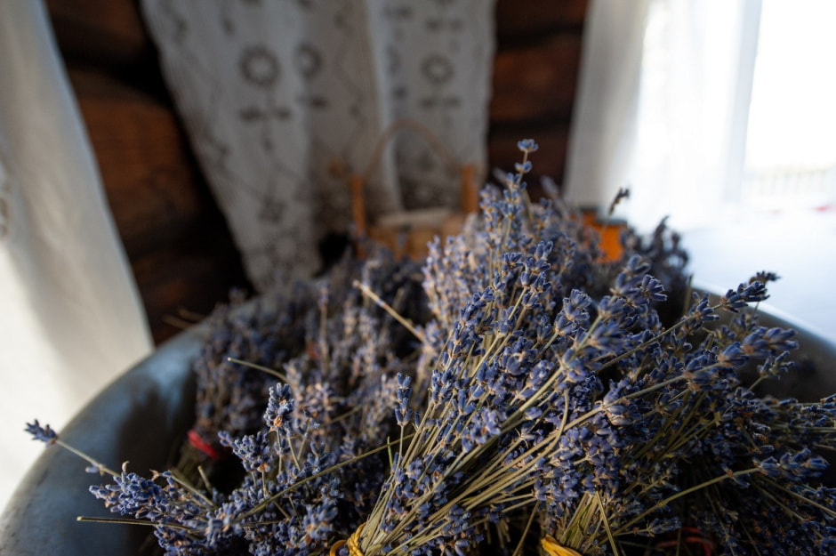 Хата прадеда в Любках 15.jpg Хата прадеда в Любках 15.jpg