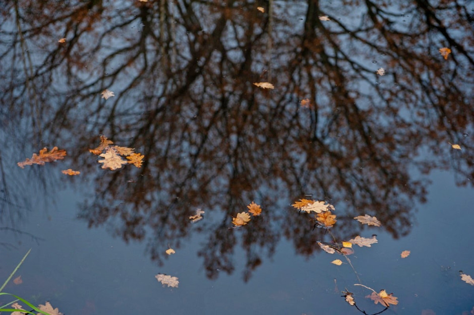 Хутор Окушково 7.jpg Хутор Окушково 7.jpg