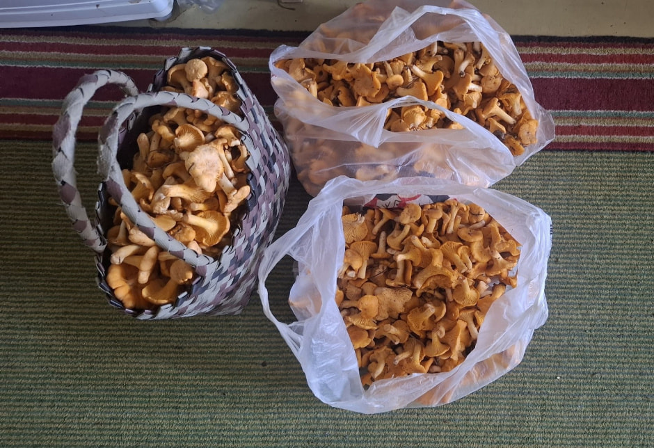 CWndEAxWoMIrdgfoCJiNNy2alwBMcvK_EWrlimehh3FLLFSkeuQKn_QI6NLG-v0XbEAZk842UrgrSmko4bq5k2_-.jpg CWndEAxWoMIrdgfoCJiNNy2alwBMcvK_EWrlimehh3FLLFSkeuQKn_QI6NLG-v0XbEAZk842UrgrSmko4bq5k2_-.jpg