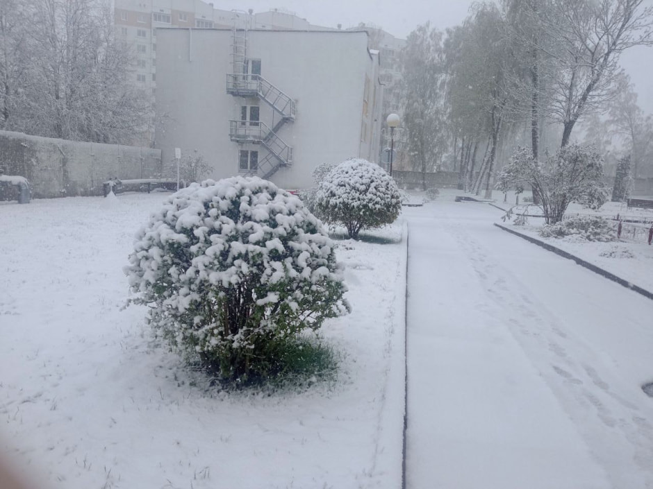 Снег в Витесбке 1.jpg